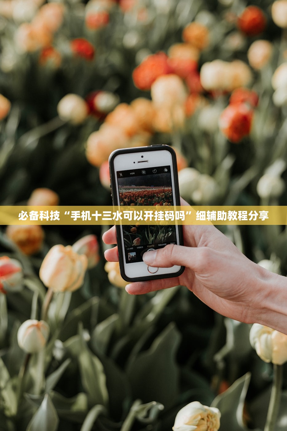 必备科技“手机十三水可以开挂码吗	”细辅助教程分享