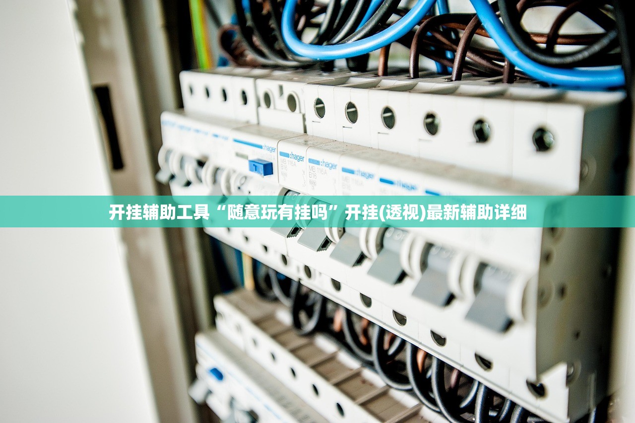 开挂辅助工具“随意玩有挂吗”开挂(透视)最新辅助详细