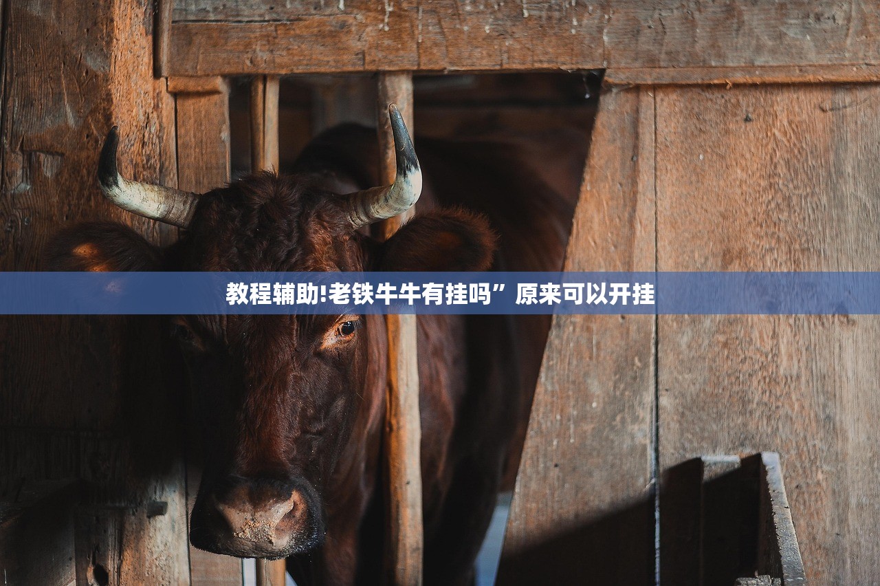 教程辅助!老铁牛牛有挂吗	”原来可以开挂