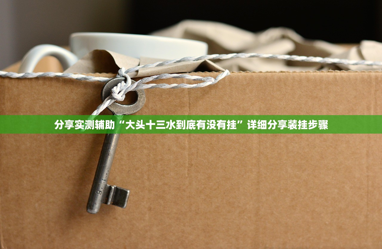 分享实测辅助“大头十三水到底有没有挂”详细分享装挂步骤