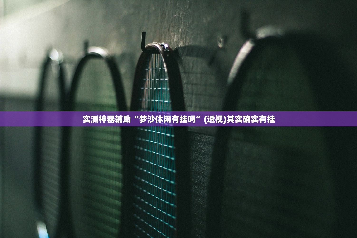 实测神器辅助“梦沙休闲有挂吗”(透视)其实确实有挂