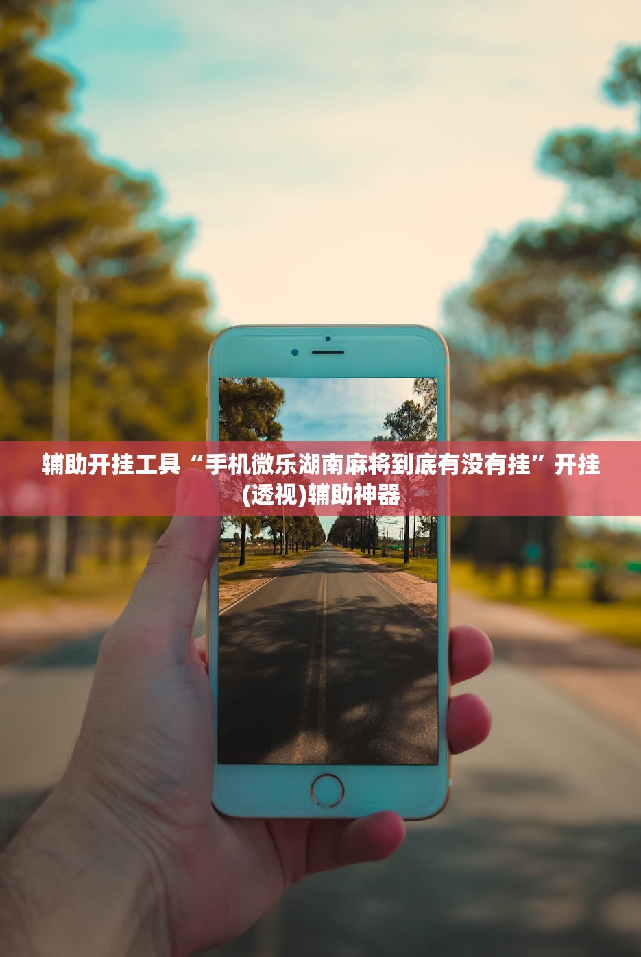 辅助开挂工具“手机微乐湖南麻将到底有没有挂”开挂(透视)辅助神器