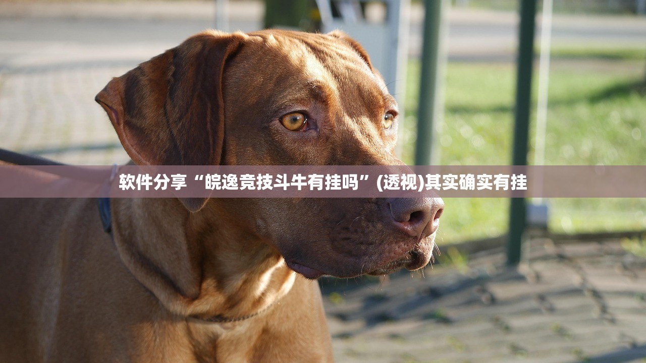 大连新增一本土病例/大连新增本土疫情