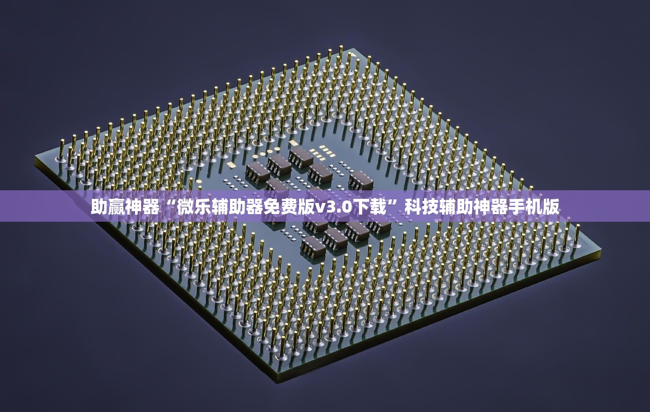 助赢神器“微乐辅助器免费版v3.0下载”科技辅助神器手机版