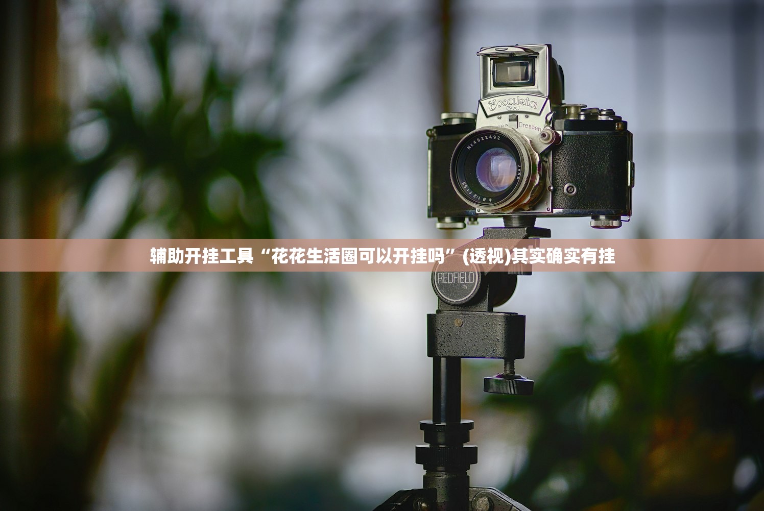 辅助开挂工具“花花生活圈可以开挂吗	”(透视)其实确实有挂