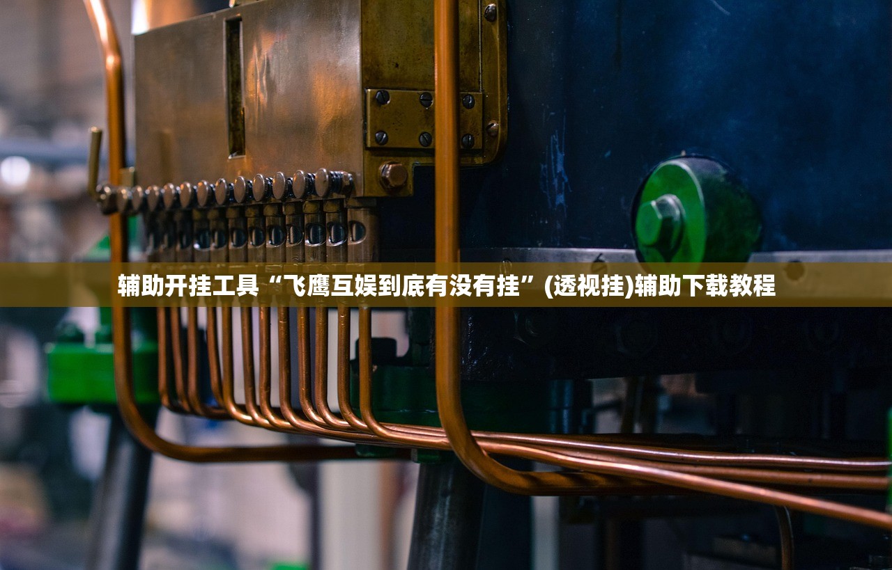 辅助开挂工具“飞鹰互娱到底有没有挂	”(透视挂)辅助下载教程