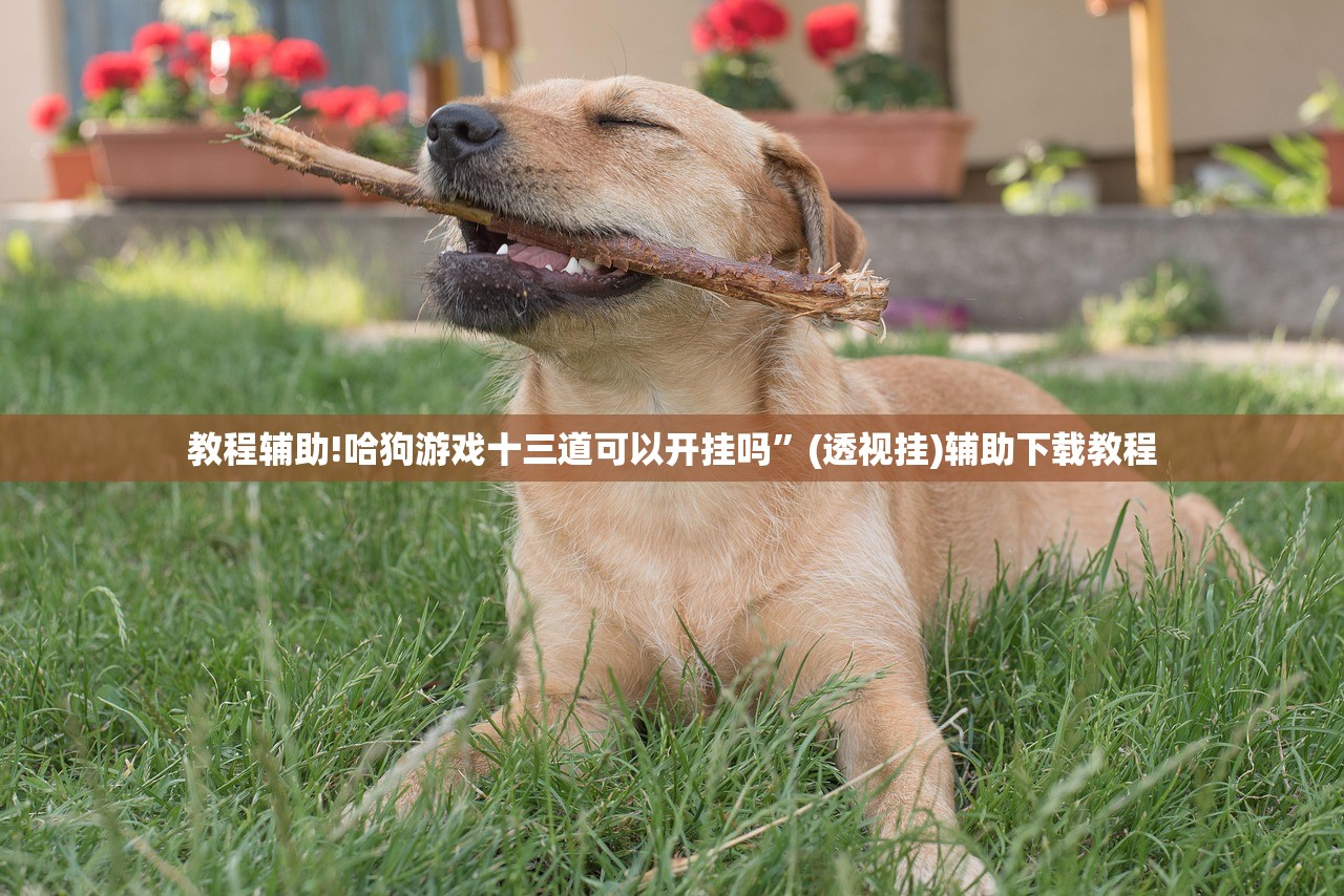教程辅助!哈狗游戏十三道可以开挂吗	”(透视挂)辅助下载教程