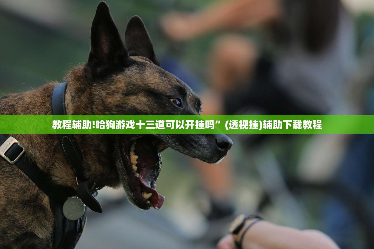 教程辅助!哈狗游戏十三道可以开挂吗”(透视挂)辅助下载教程