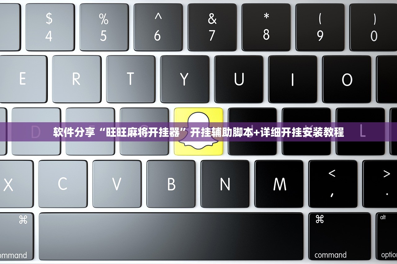软件分享“旺旺麻将开挂器”开挂辅助脚本+详细开挂安装教程