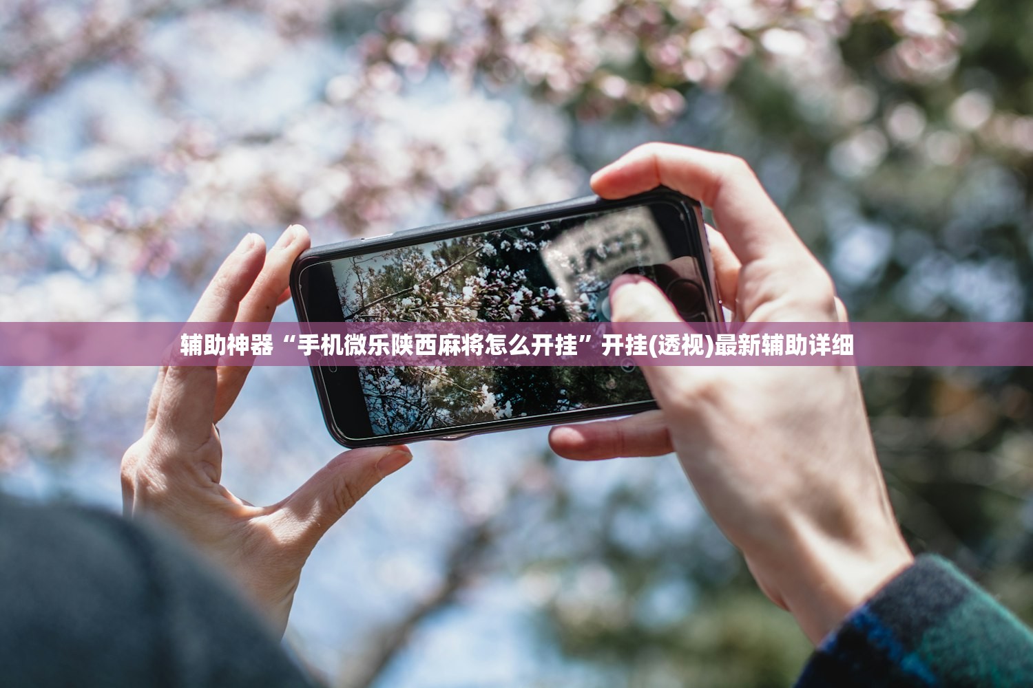 教程辅助!“洋洋挖花外卦辅助软件下载”原来可以开挂