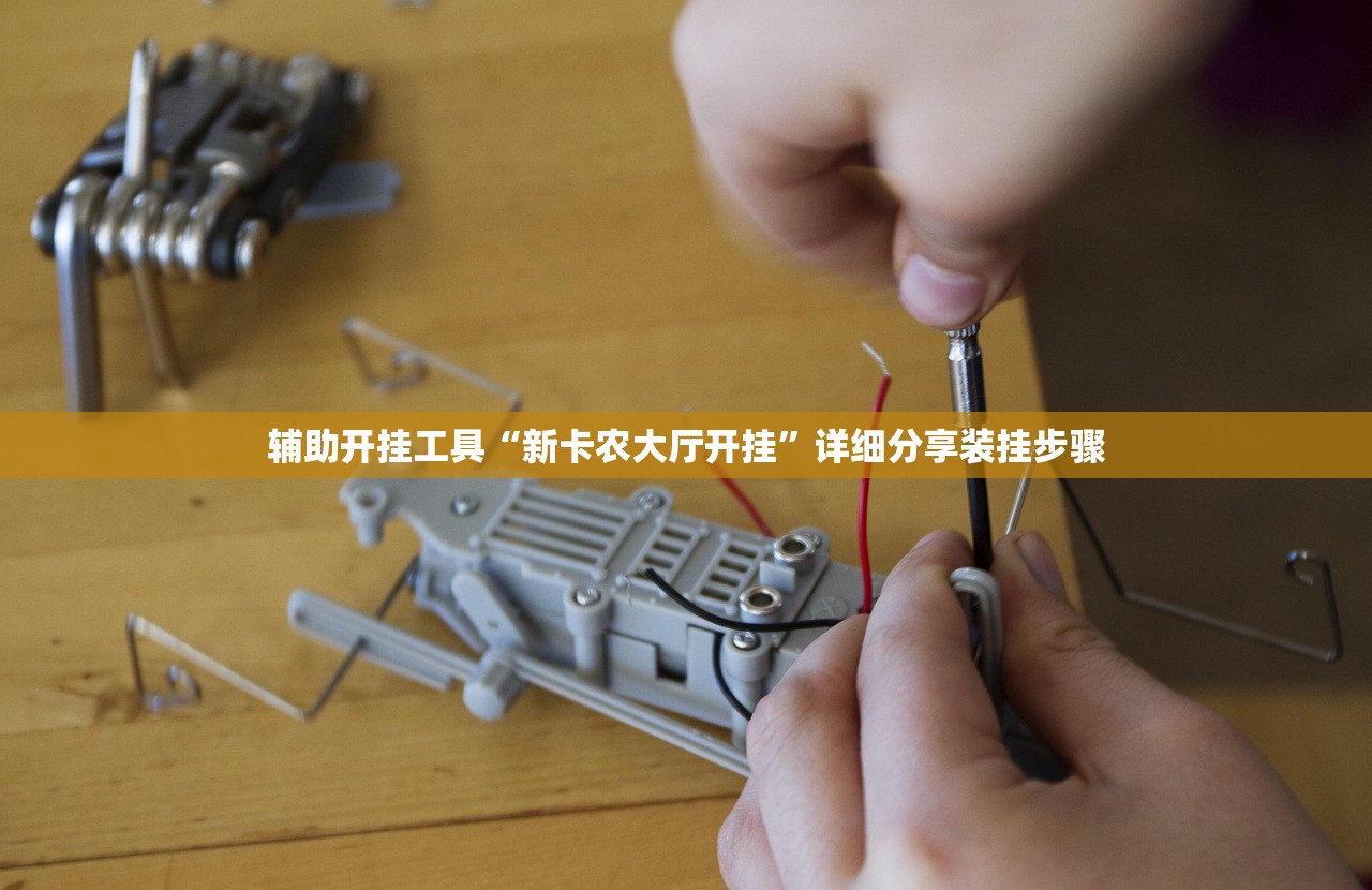 辅助开挂工具“微乐石家庄麻将免费挂”详细外挂透视辅助软件教程