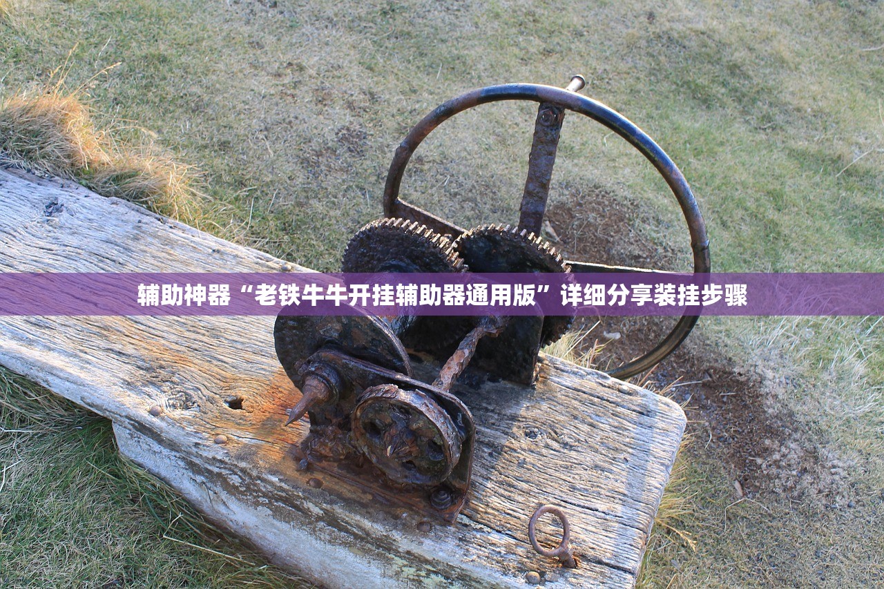 辅助神器“老铁牛牛开挂辅助器通用版”详细分享装挂步骤