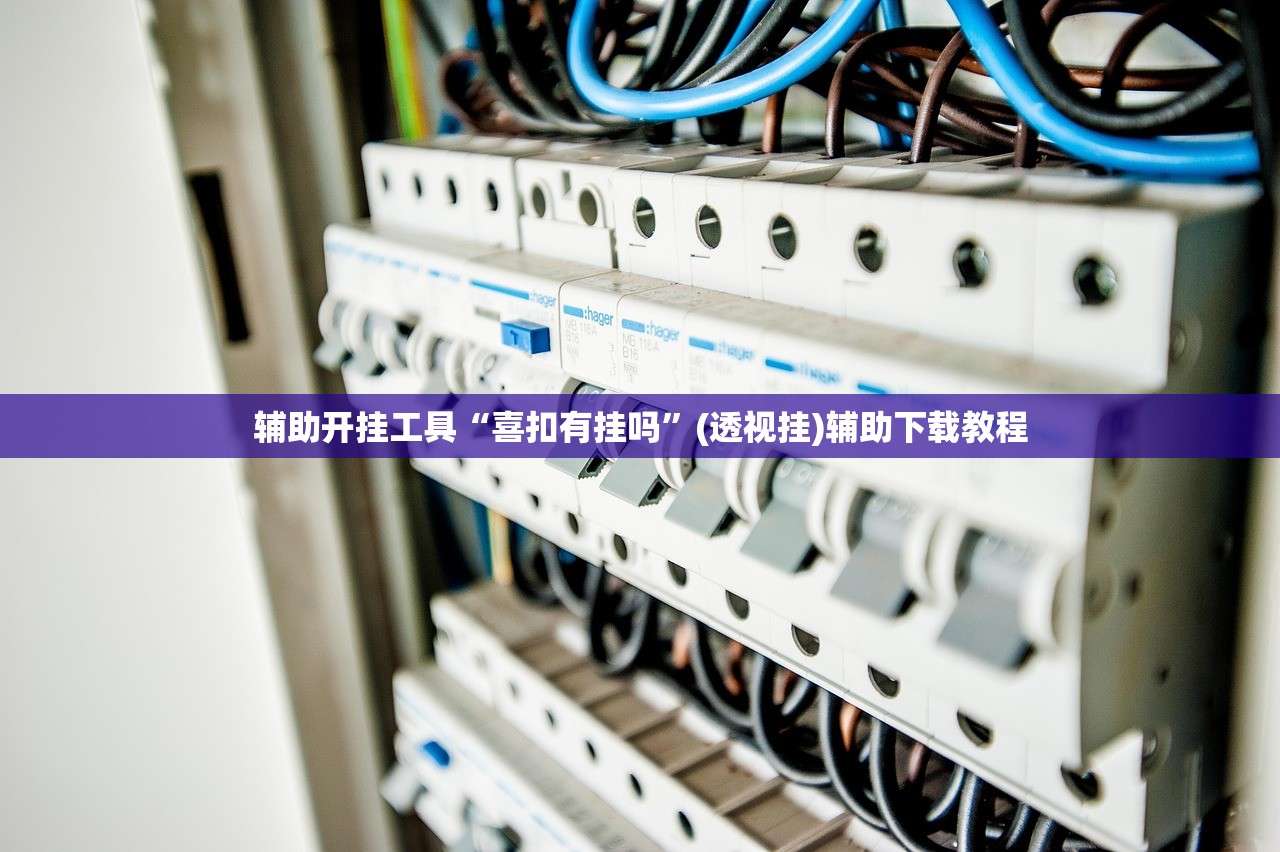 辅助开挂工具“喜扣有挂吗”(透视挂)辅助下载教程