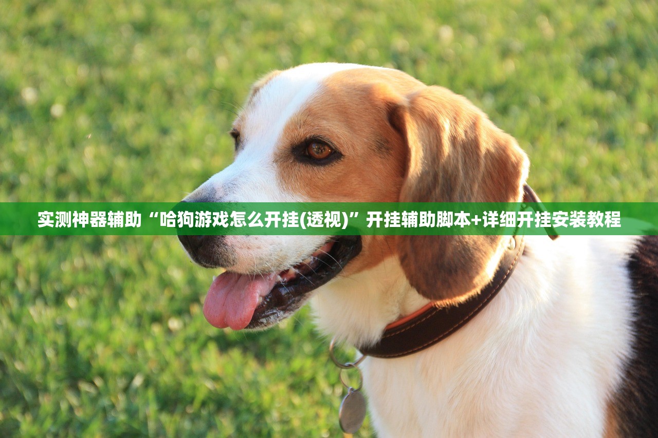 实测神器辅助“哈狗游戏怎么开挂(透视)”开挂辅助脚本+详细开挂安装教程