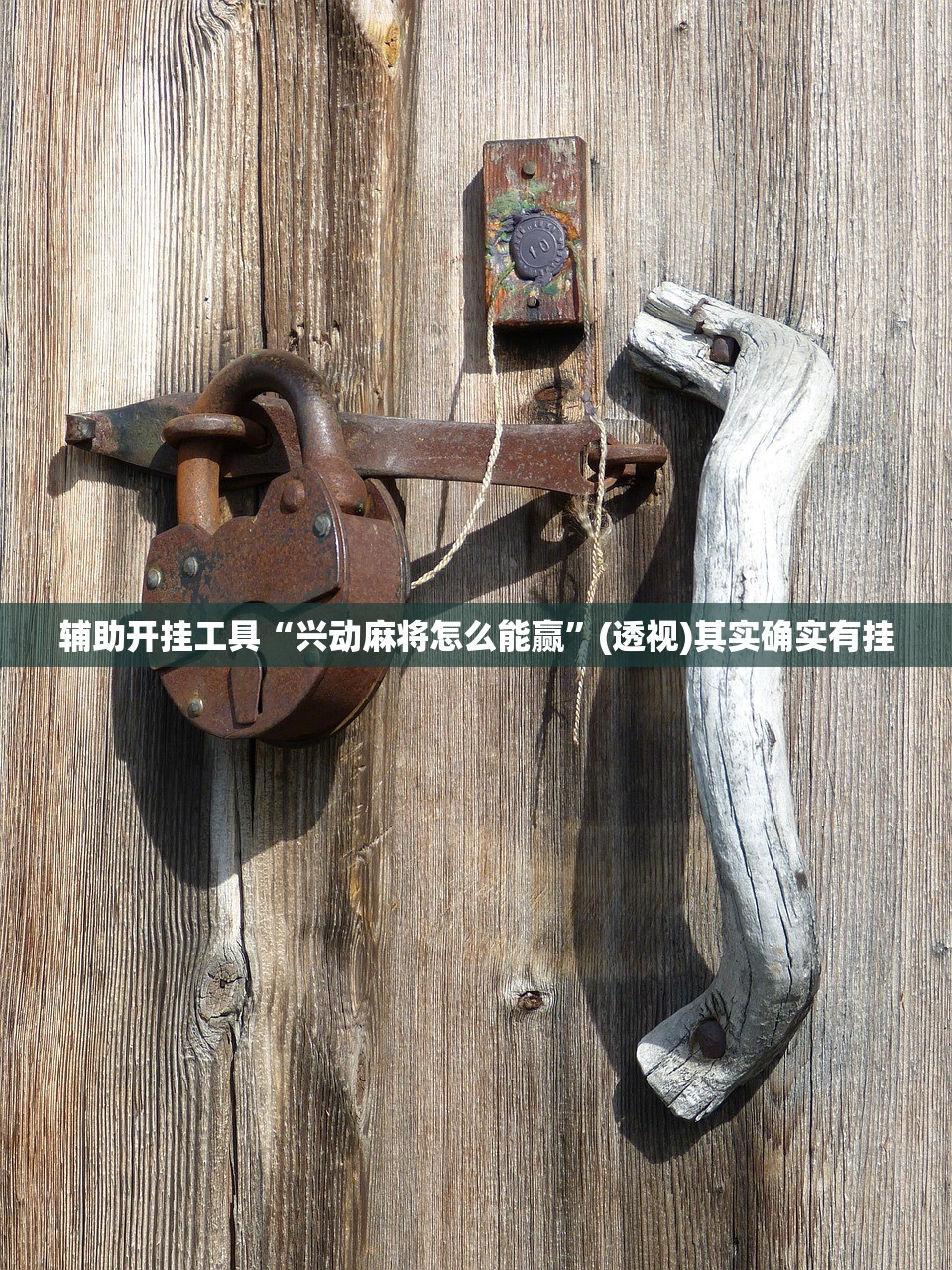 辅助开挂工具“开心泉州麻将有挂吗”开挂详细教程