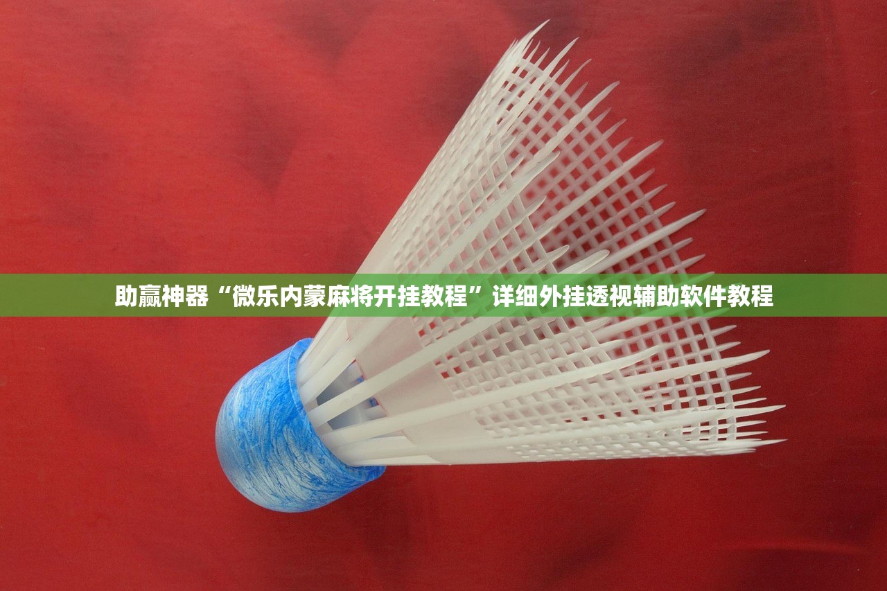 助赢神器“微乐内蒙麻将开挂教程”详细外挂透视辅助软件教程