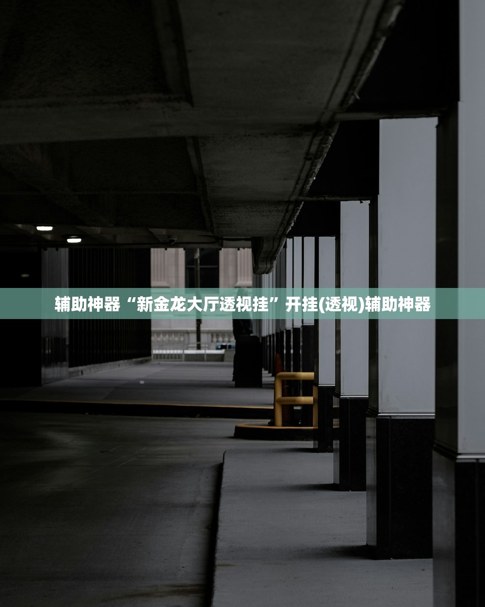 辅助神器“新金龙大厅透视挂”开挂(透视)辅助神器