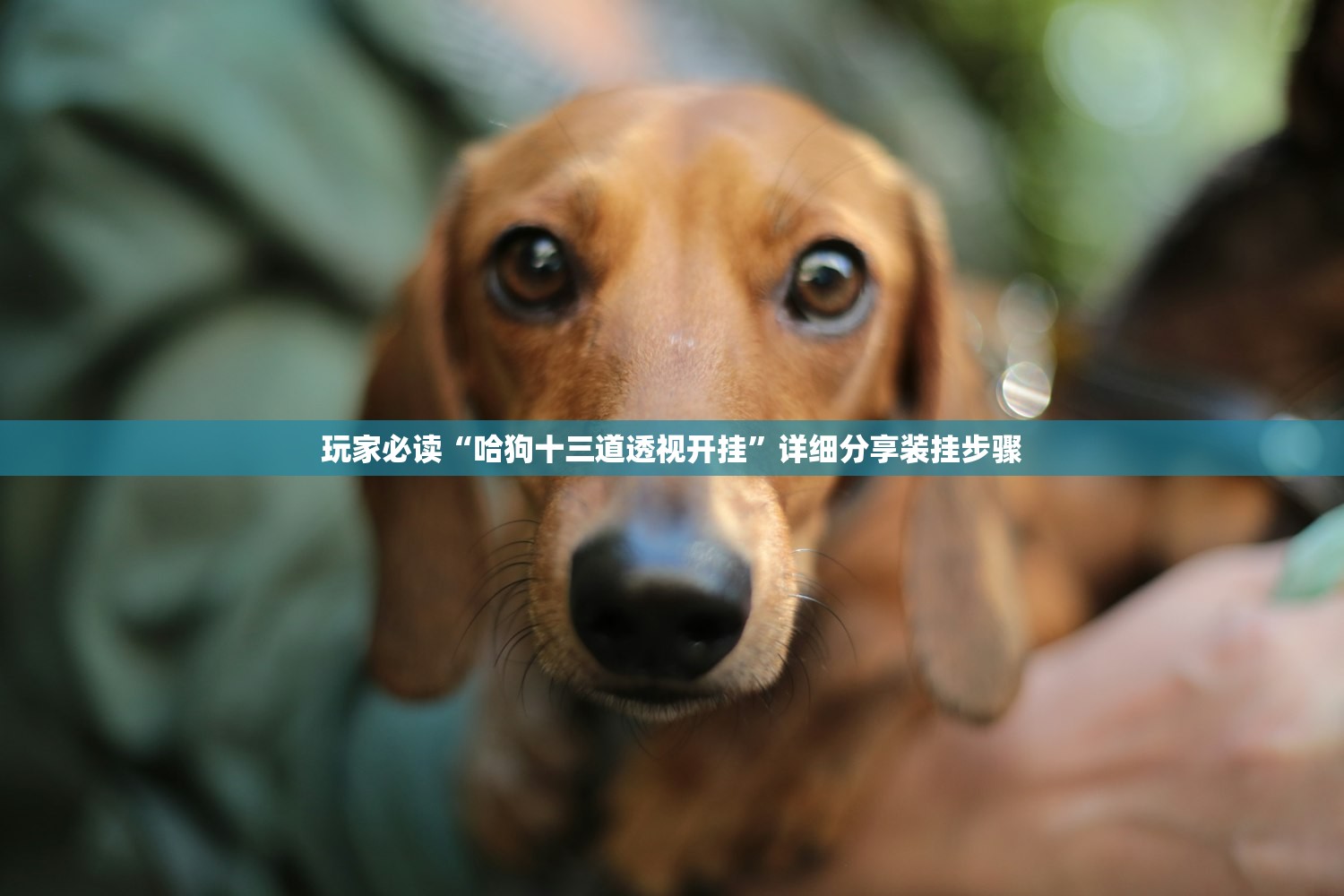 宝来保养灯归零方法/宝来保养灯归零方法图解