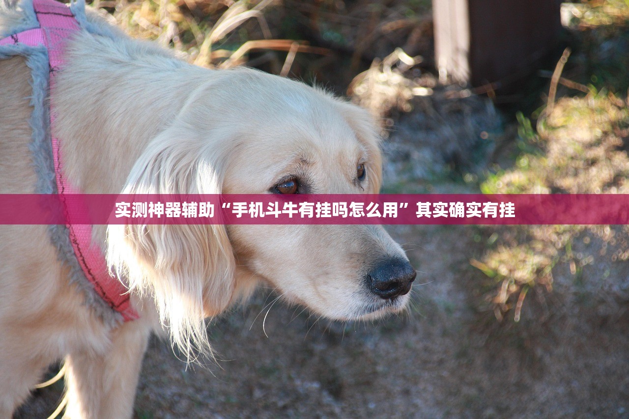 辅助神器“欢乐联盟可以开挂吗”科技辅助神器手机版
