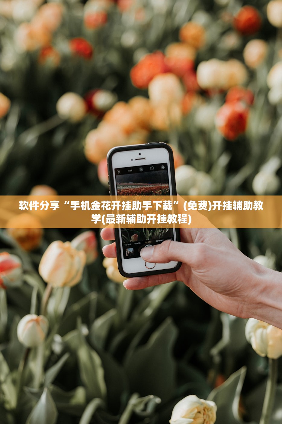 软件分享“手机金花开挂助手下载”(免费)开挂辅助教学(最新辅助开挂教程)