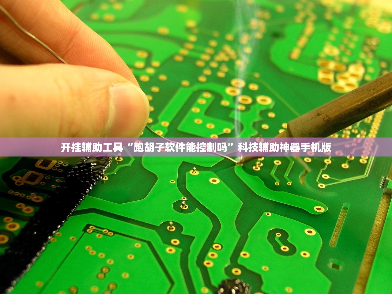 开挂辅助工具“跑胡子软件能控制吗”科技辅助神器手机版