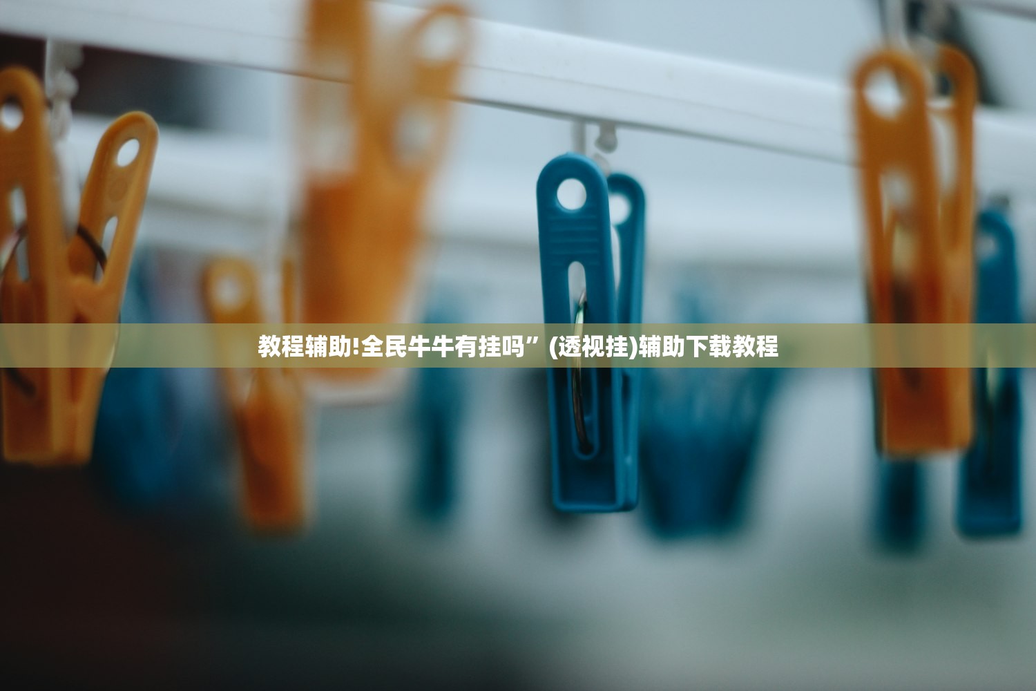 【广州4天累计新增61例阳性/广州4日新增病例】