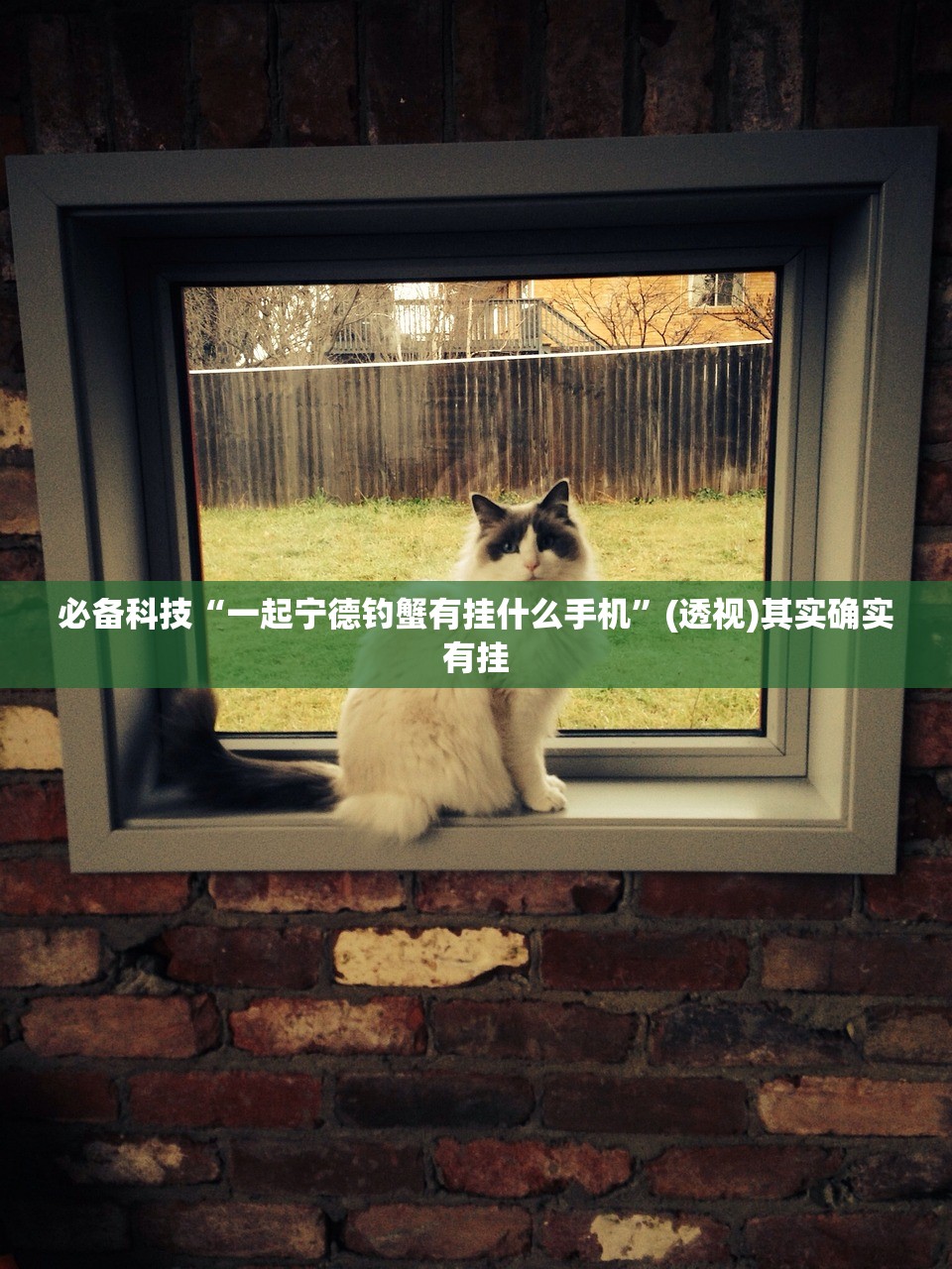 玩家必读“永和备厅到底有没有挂”开挂(透视)辅助教程