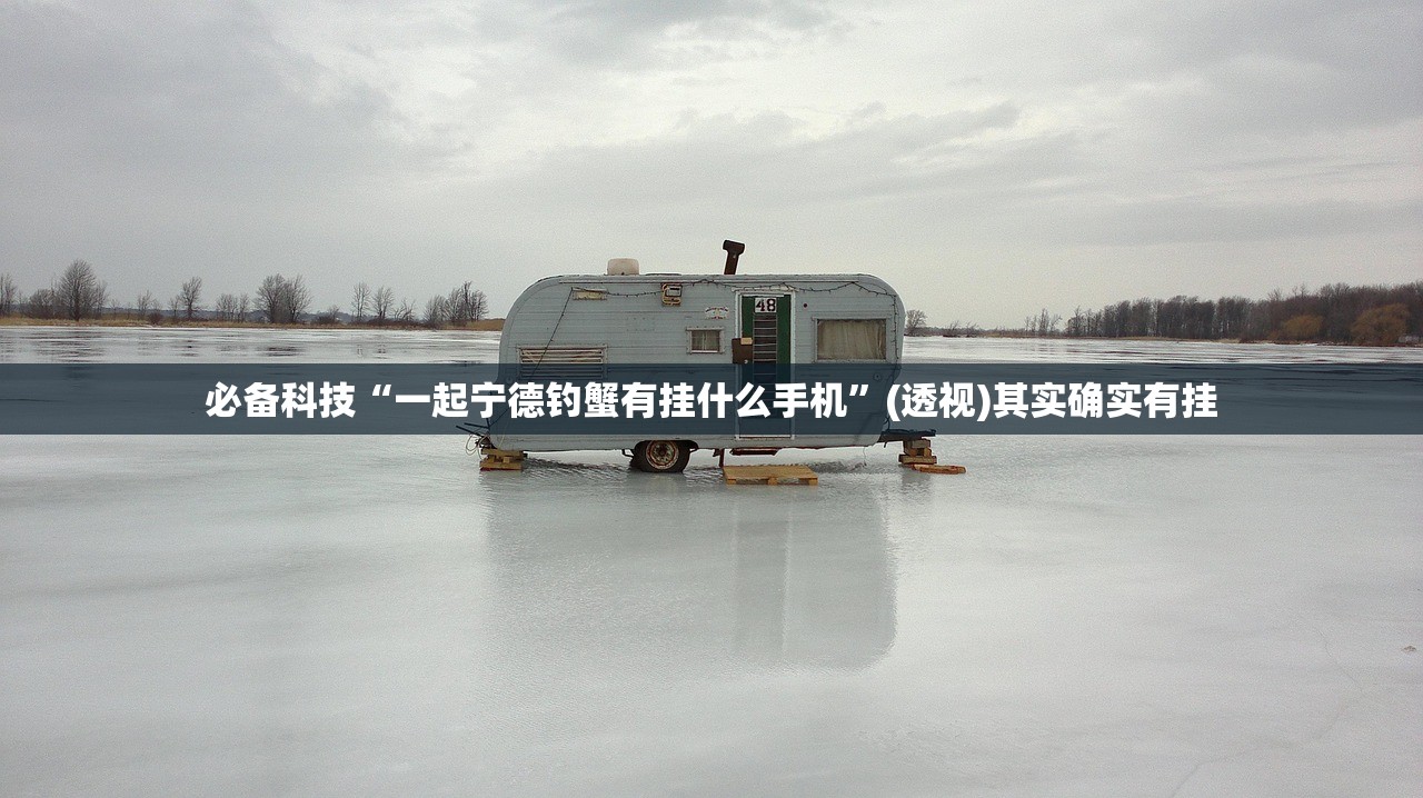 必备科技“一起宁德钓蟹有挂什么手机”(透视)其实确实有挂