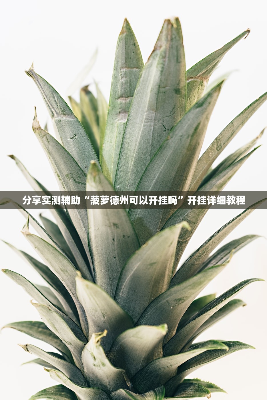 美新冠确诊602万/美新冠最新确诊最新数据