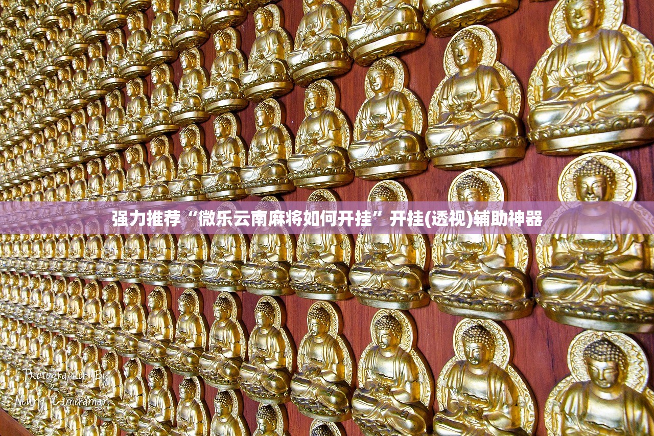 助赢神器“荔浦联盟透视辅助器”开挂辅助脚本+详细开挂安装教程