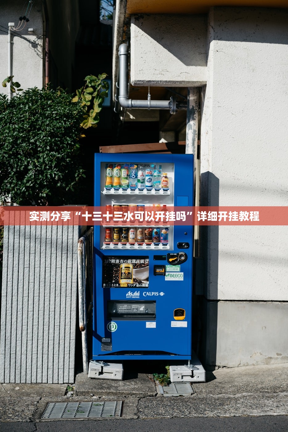 万能开挂辅助“手机上打麻将怎么开挂”开挂(透视)最新辅助详细