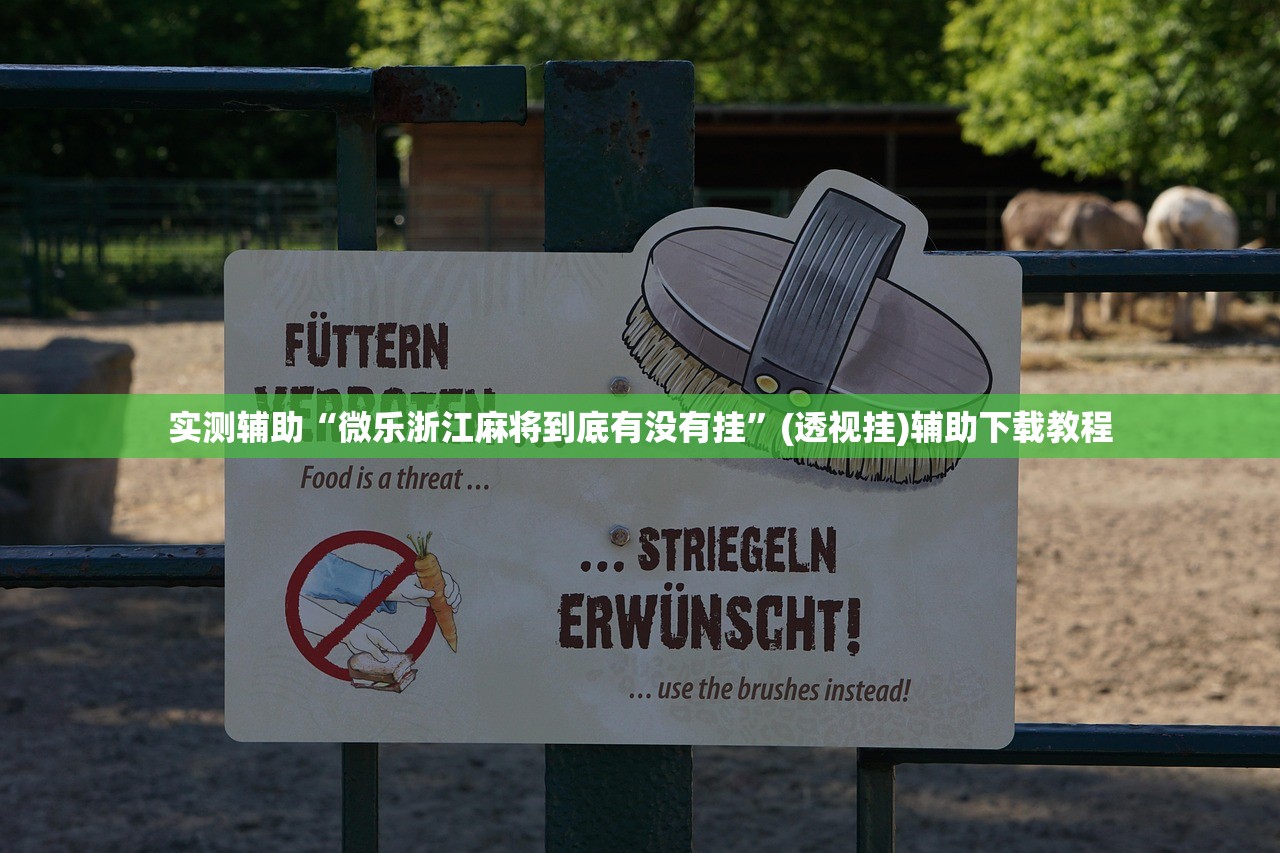 实测辅助“微乐浙江麻将到底有没有挂”(透视挂)辅助下载教程