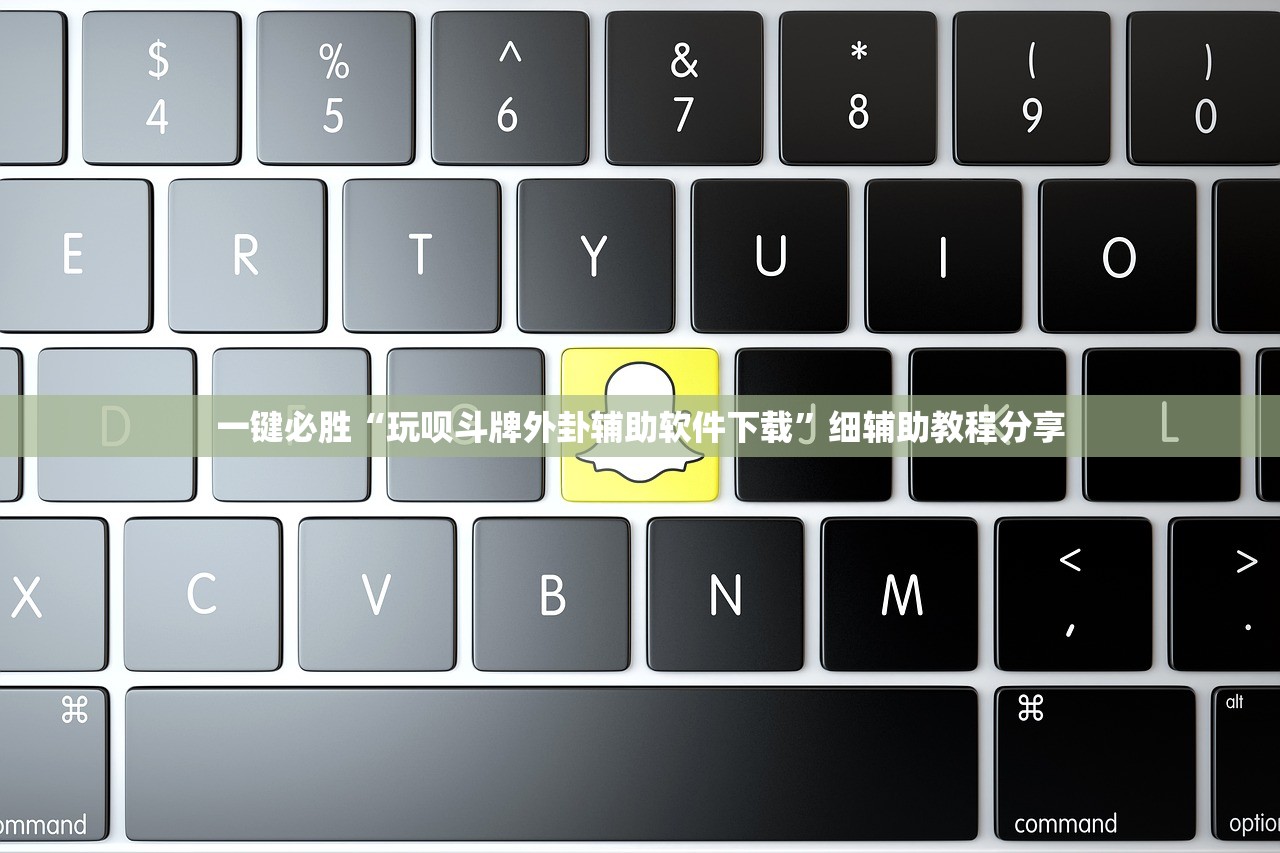 一键必胜“玩呗斗牌外卦辅助软件下载”细辅助教程分享