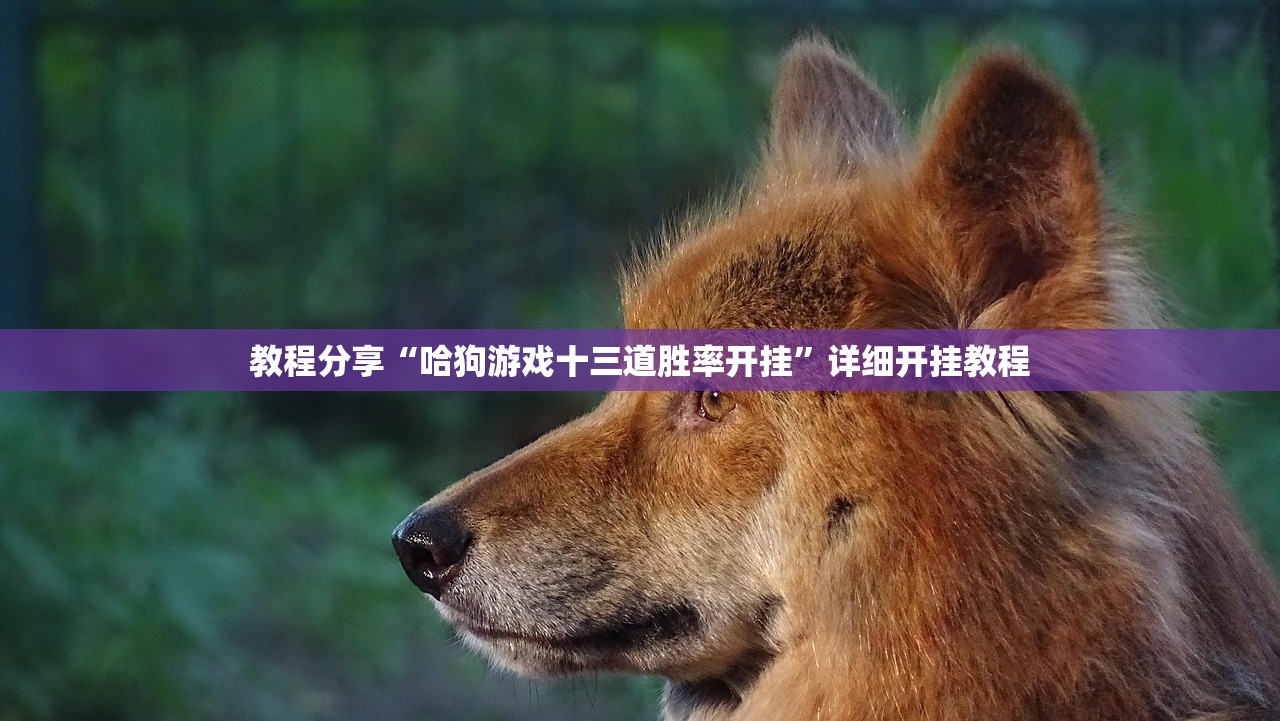 成都中风险地区增至9个/成都中风险区划分最新