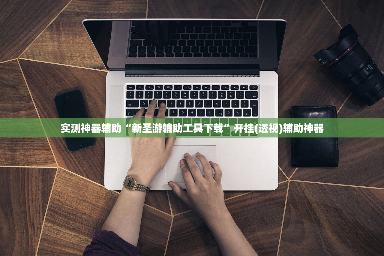 实测神器辅助“新圣游辅助工具下载”开挂(透视)辅助神器