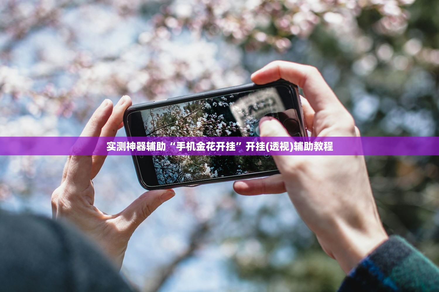 实测神器辅助“手机金花开挂”开挂(透视)辅助教程