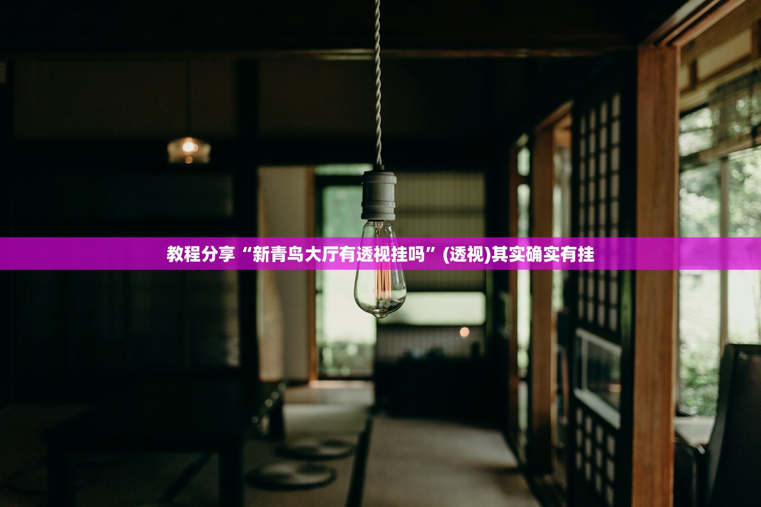 教程分享“新青鸟大厅有透视挂吗”(透视)其实确实有挂