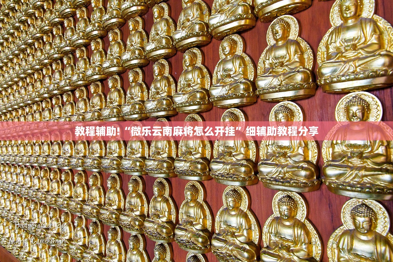 教程辅助!“微乐云南麻将怎么开挂	”细辅助教程分享