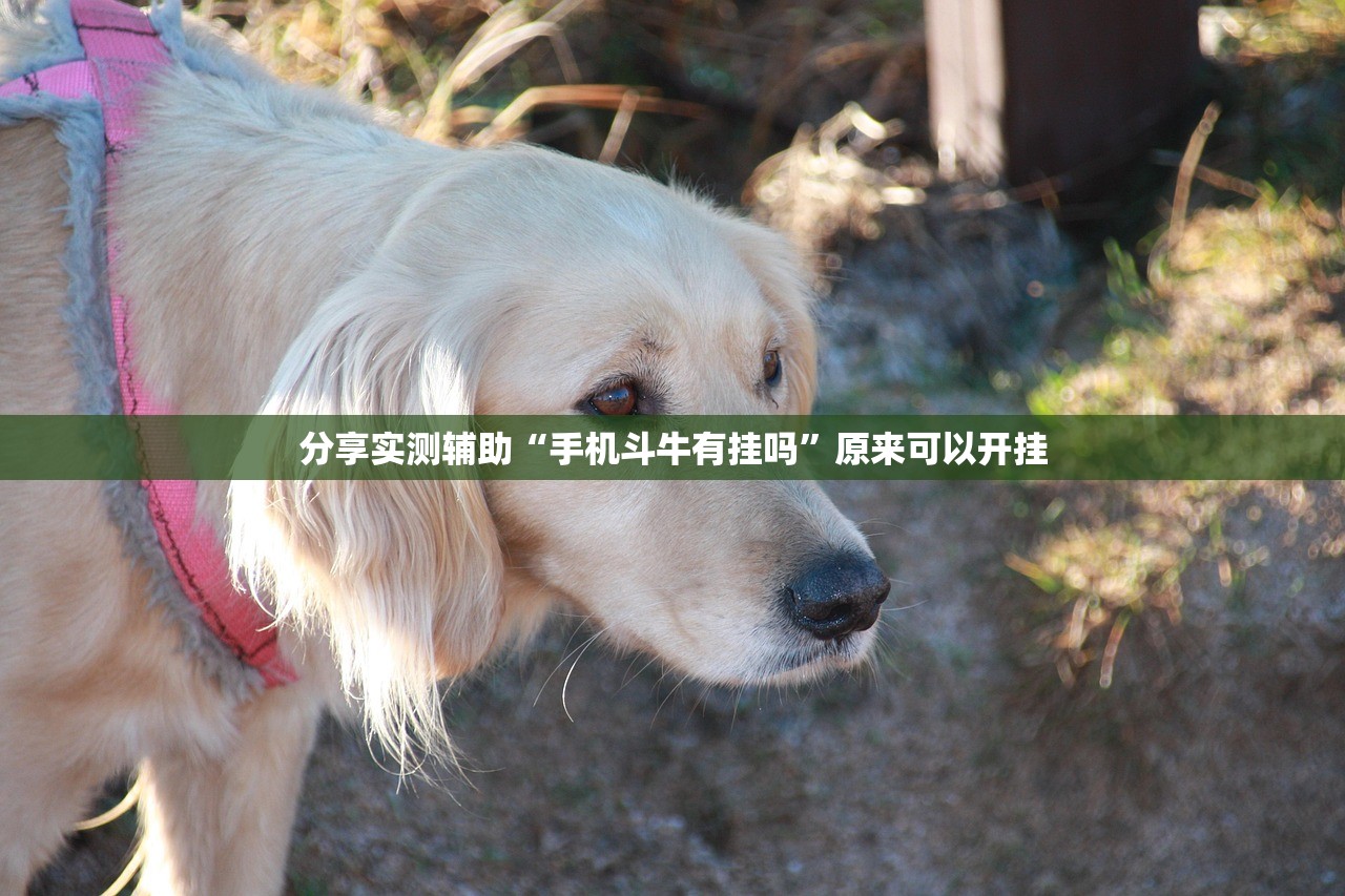 重庆市理工大学怎么样/重庆理工大学很厉害吗