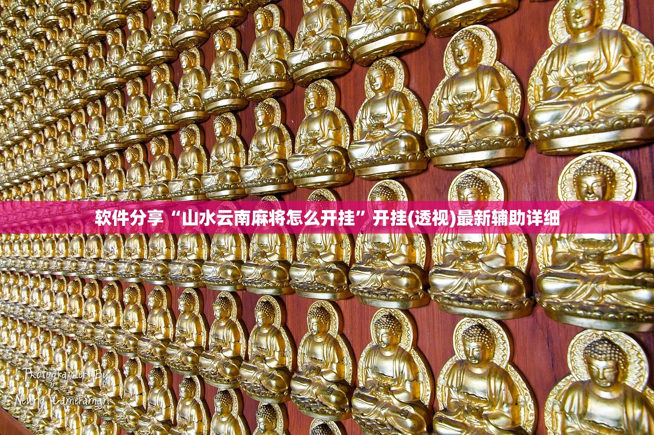 开挂技巧“科乐填大坑挂多少钱啊”(透视)其实确实有挂