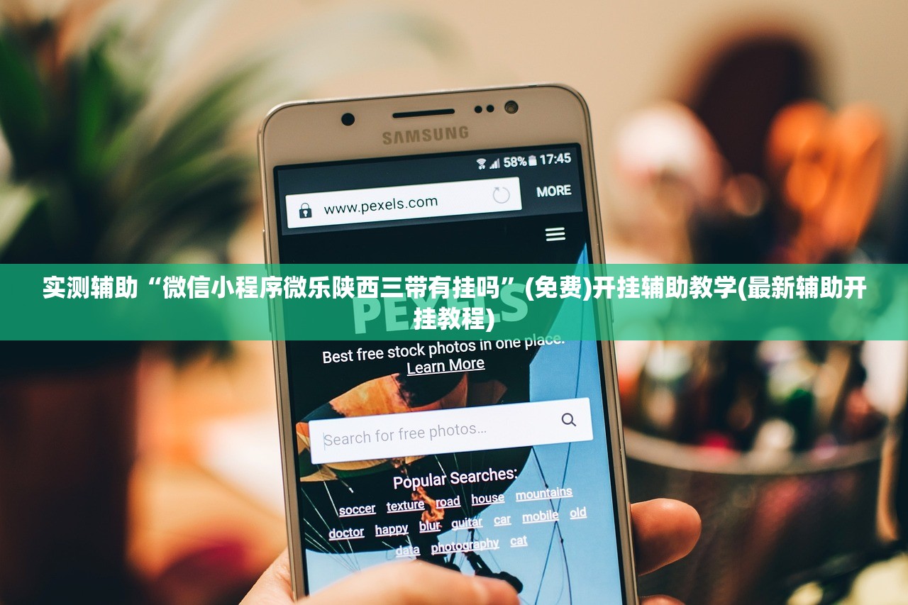 实测辅助“微信小程序微乐陕西三带有挂吗”(免费)开挂辅助教学(最新辅助开挂教程)