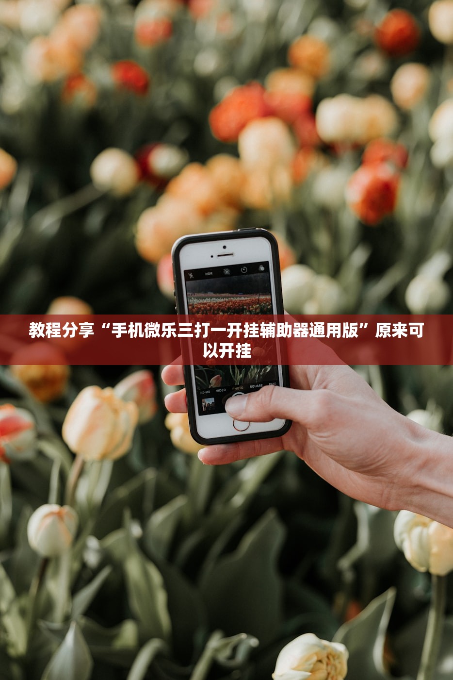 教程分享“手机微乐三打一开挂辅助器通用版	”原来可以开挂