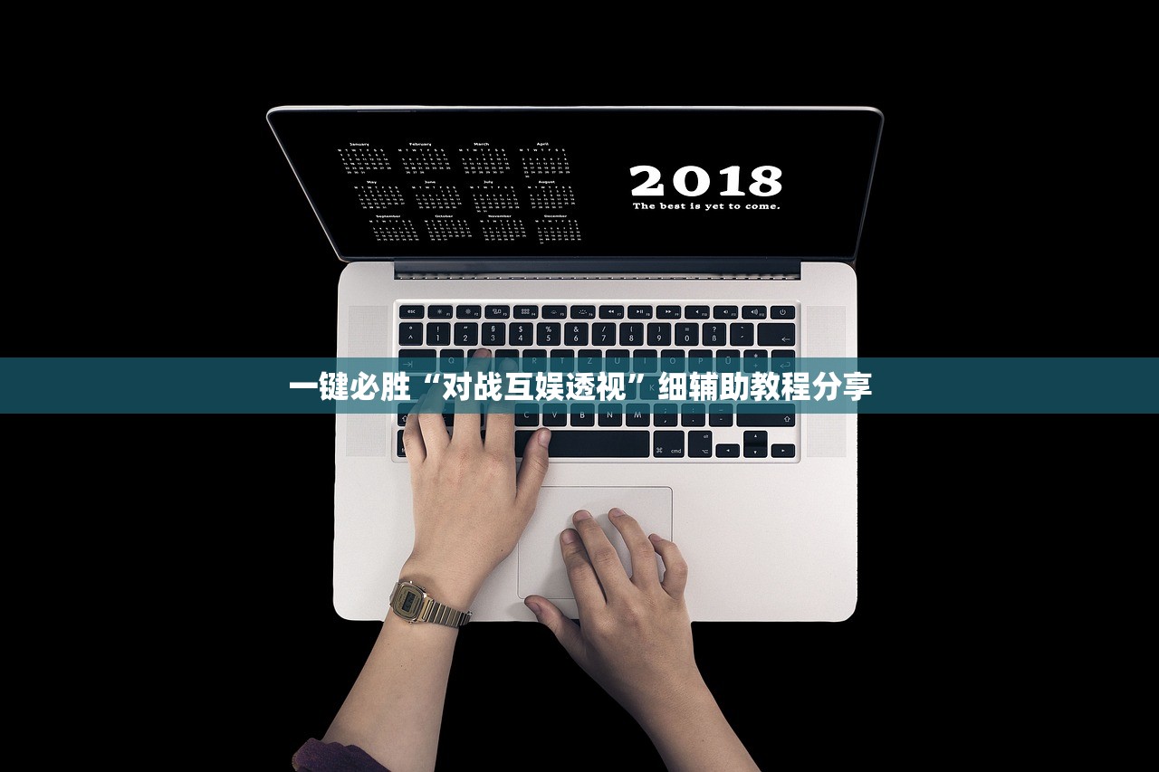 一键必胜“对战互娱透视”细辅助教程分享