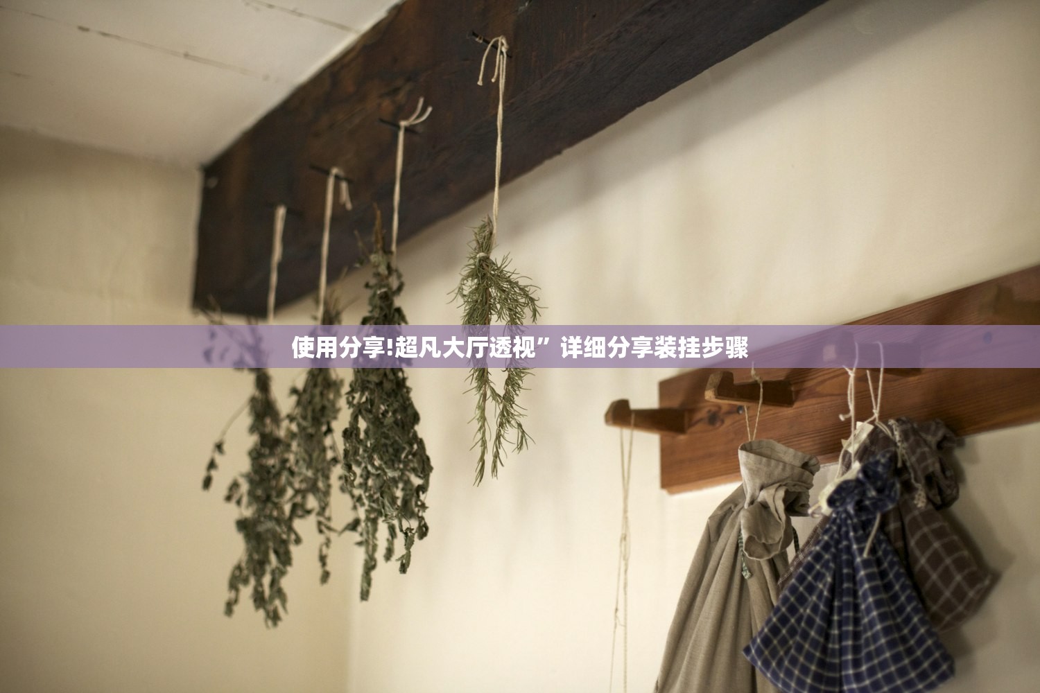 使用分享!超凡大厅透视”详细分享装挂步骤