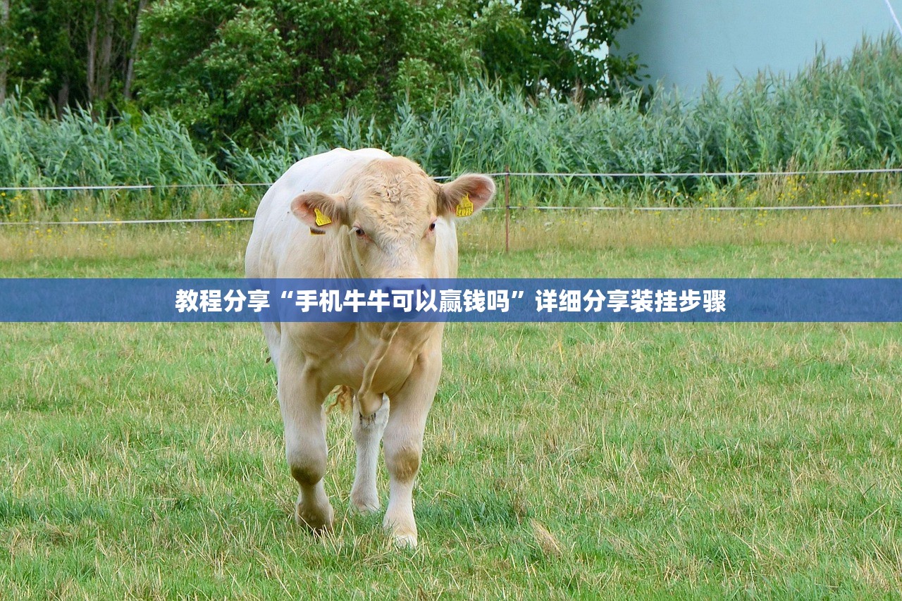 教程分享“手机牛牛可以赢钱吗”详细分享装挂步骤