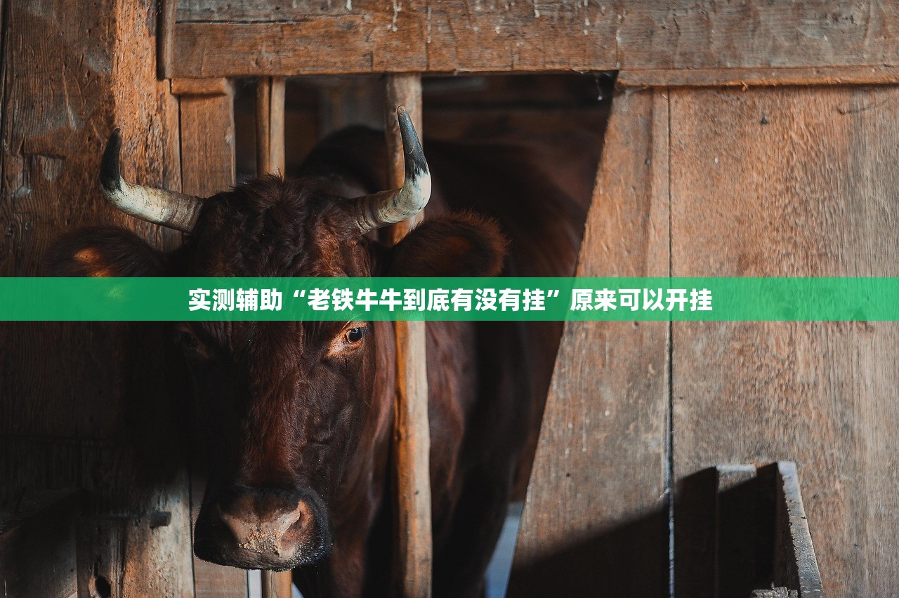 可用版本“开运麻将有挂吗”开挂(透视)最新辅助详细