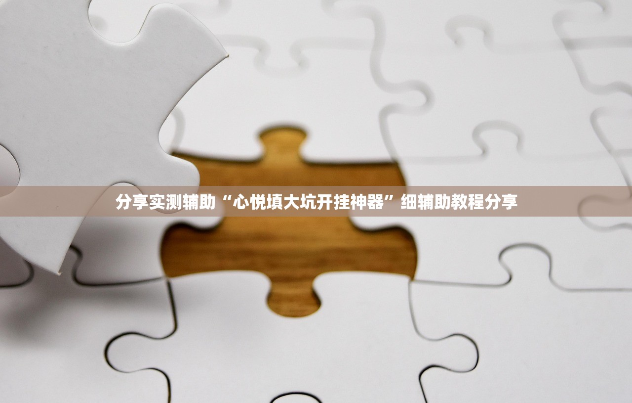 分享实测辅助“心悦填大坑开挂神器	”细辅助教程分享