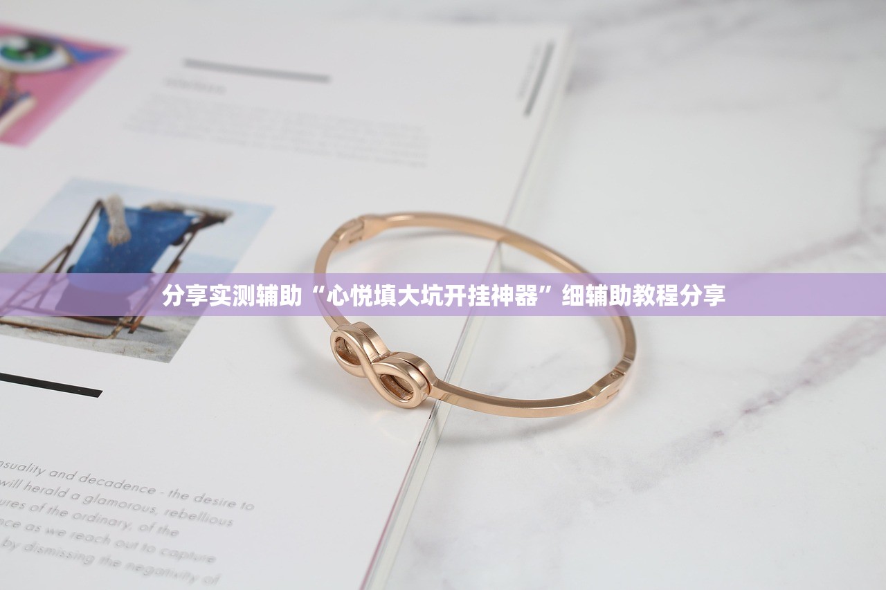 分享实测辅助“心悦填大坑开挂神器”细辅助教程分享