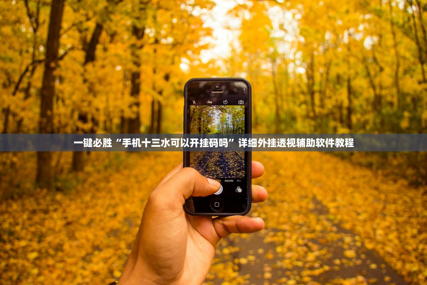 一键必胜“手机十三水可以开挂码吗	”详细外挂透视辅助软件教程