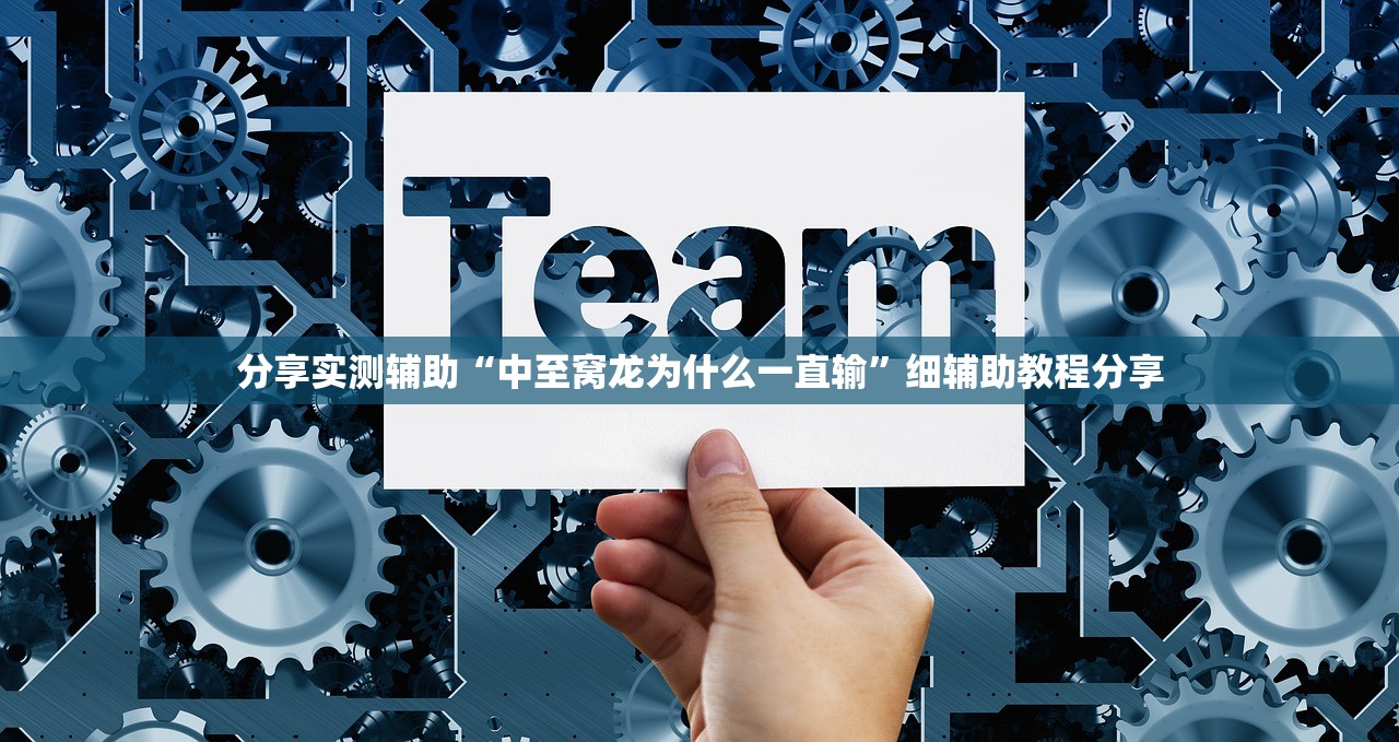 分享实测辅助“中至窝龙为什么一直输”细辅助教程分享